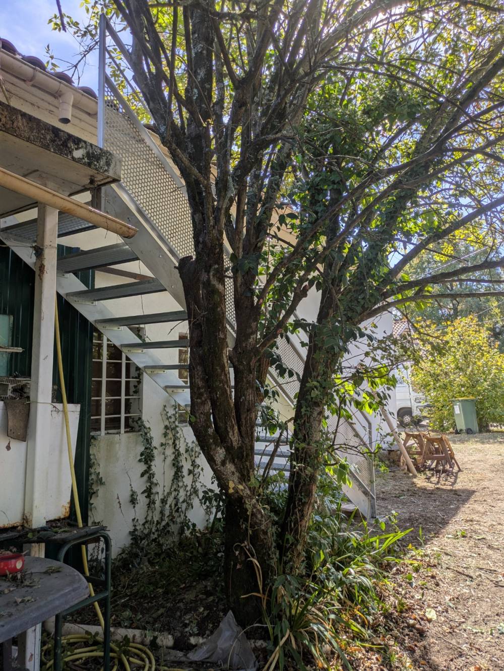PXL_20260924_113745647